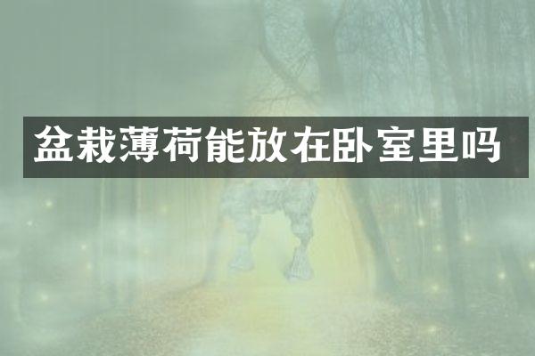 盆栽薄荷能放在卧室里吗