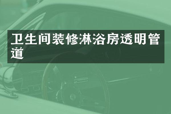 卫生间装修淋浴房透明管道