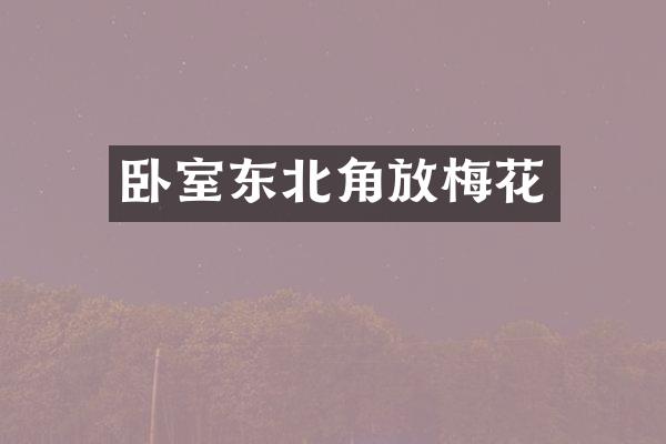 卧室东北角放梅花
