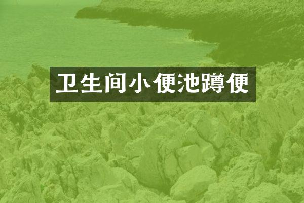 卫生间小便池蹲便