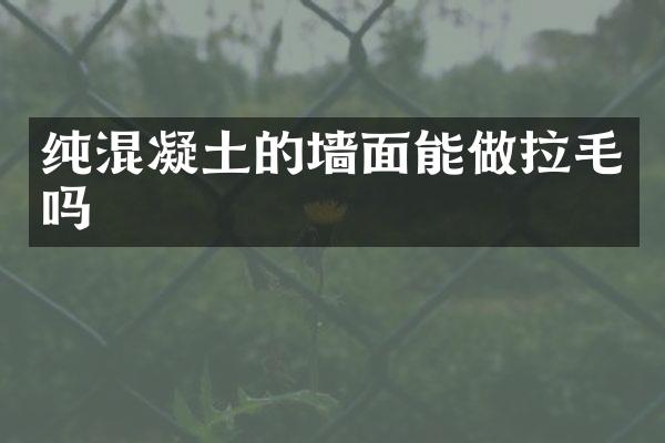 纯混凝土的墙面能做拉毛吗