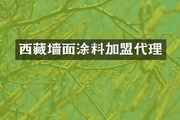 西藏墙面涂料加盟代理