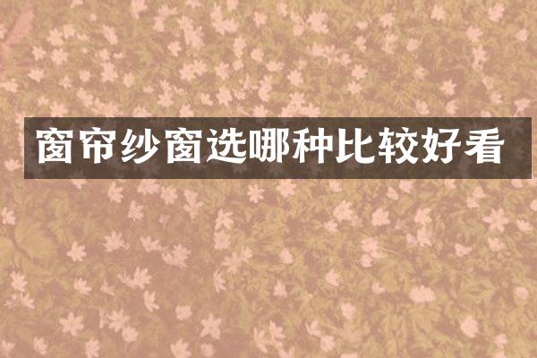 窗帘纱窗选哪种比较好看