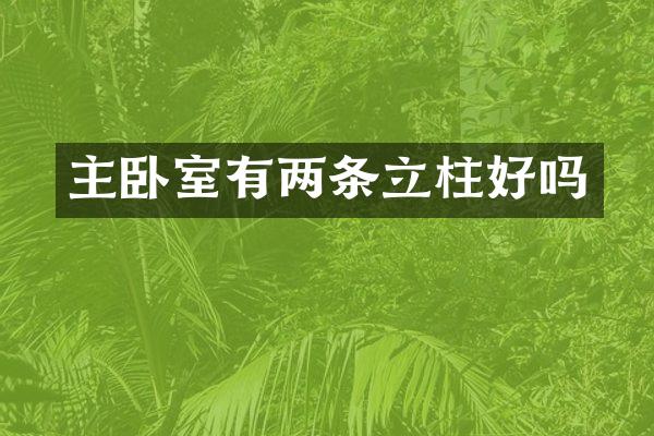 主卧室有两条立柱好吗