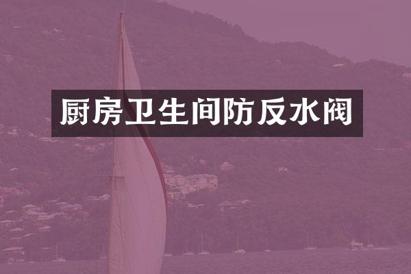 厨房卫生间防反水阀