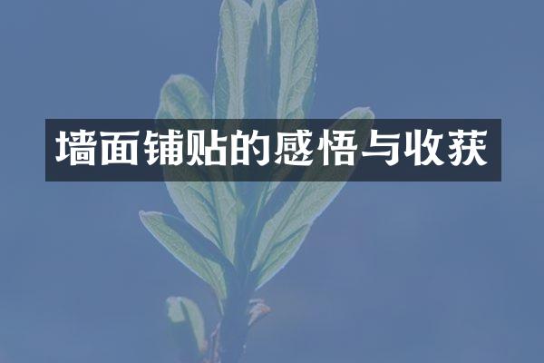 墙面铺贴的感悟与收获