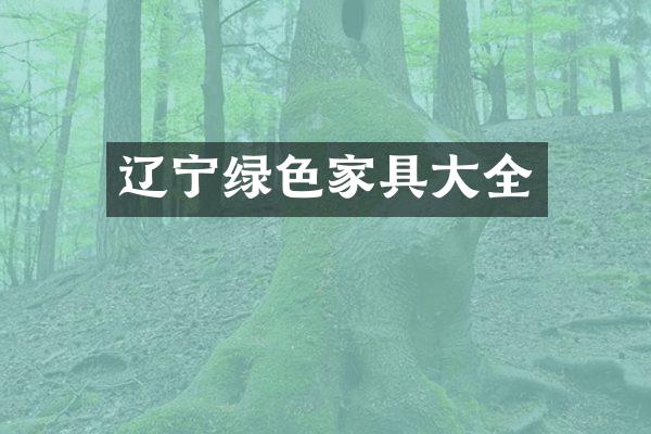 辽宁绿色家具大全