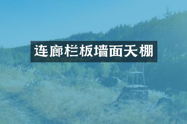 连廊栏板墙面天棚