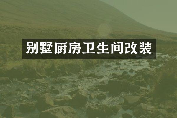 别墅厨房卫生间改装