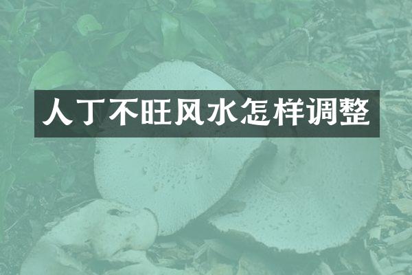 人丁不旺风水怎样调整