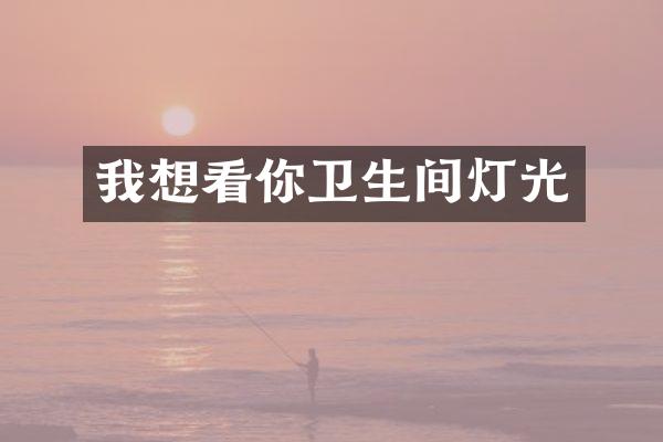我想看你卫生间灯光