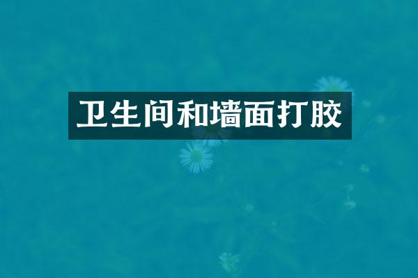 卫生间和墙面打胶