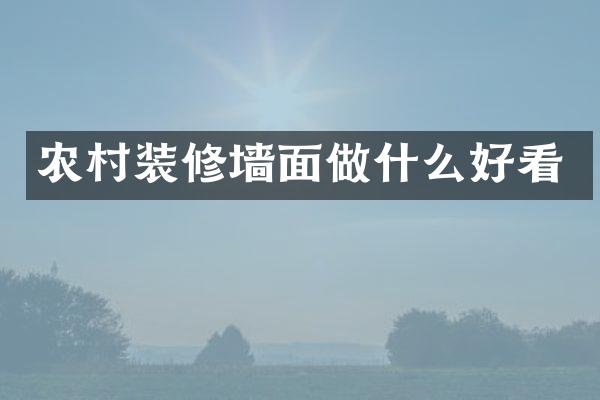农村装修墙面做什么好看