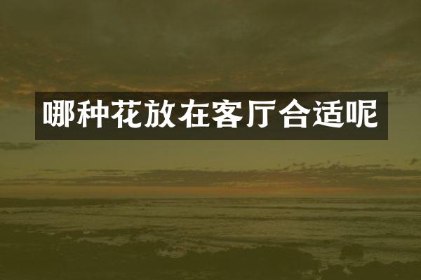 哪种花放在客厅合适呢
