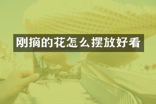 刚摘的花怎么摆放好看