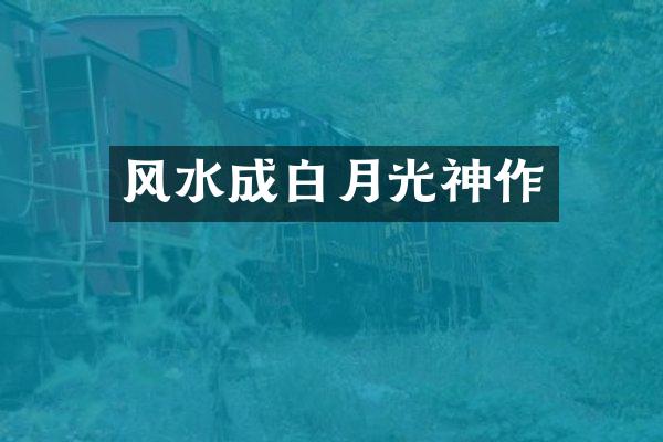 风水成白月光神作
