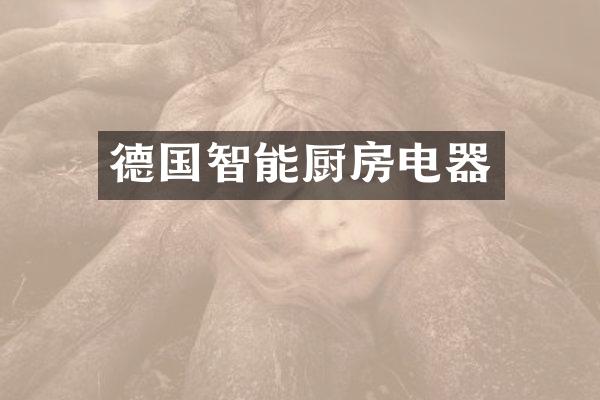 德国智能厨房电器