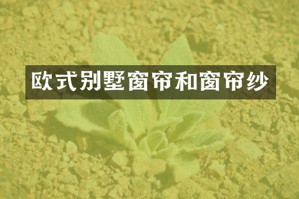欧式别墅窗帘和窗帘纱