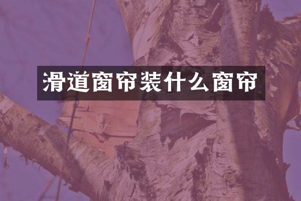 滑道窗帘装什么窗帘