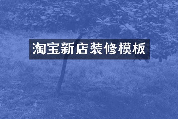 淘宝新店装修模板