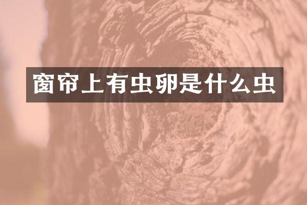 窗帘上有虫卵是什么虫