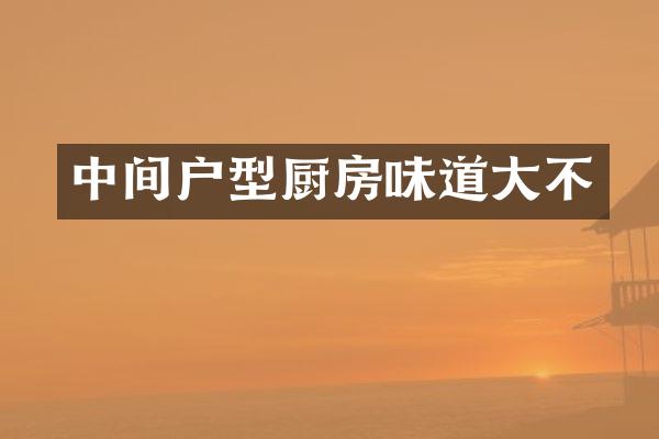 中间户型厨房味道大不