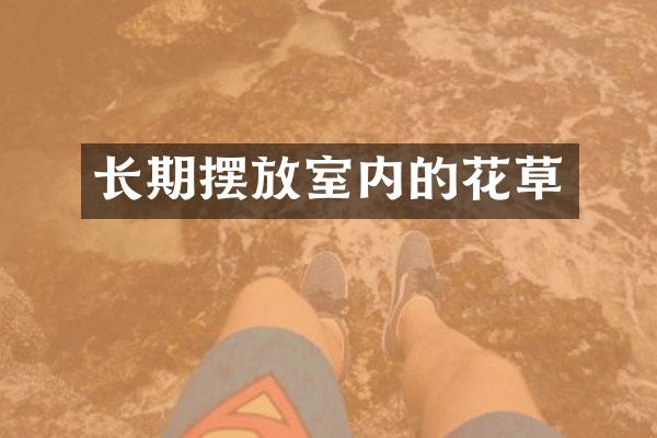 长期摆放室内的花草