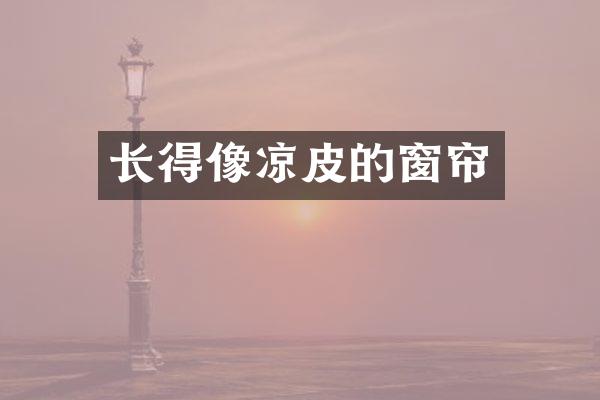 长得像凉皮的窗帘