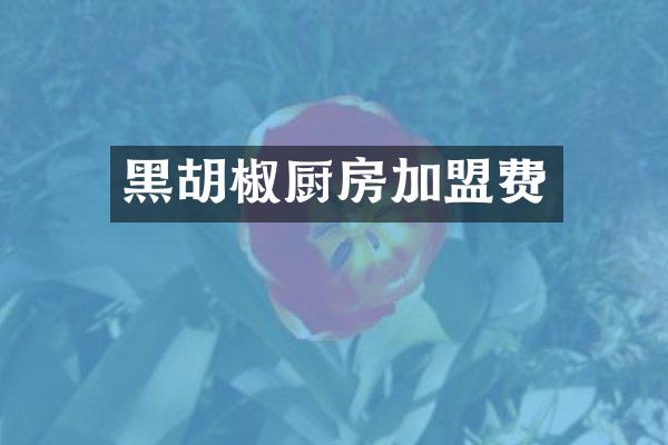 黑胡椒厨房加盟费