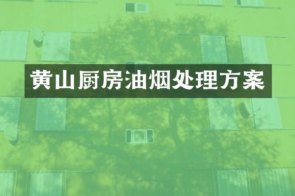 黄山厨房油烟处理方案