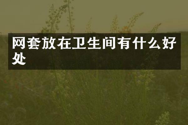 网套放在卫生间有什么好处