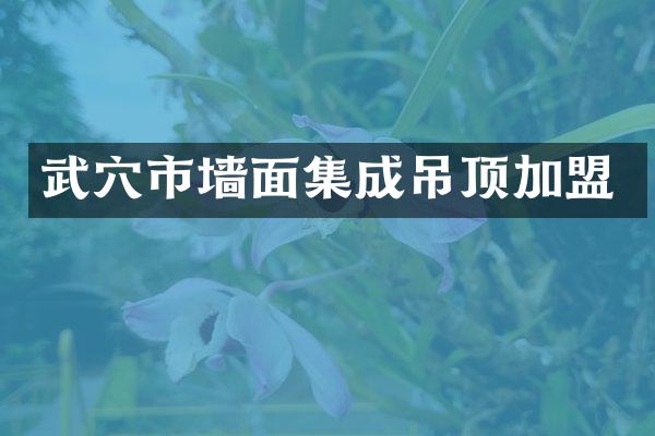 武穴市墙面集成吊顶加盟
