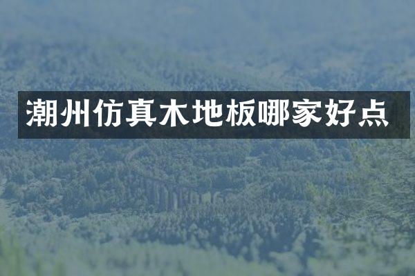 潮州仿真木地板哪家好点