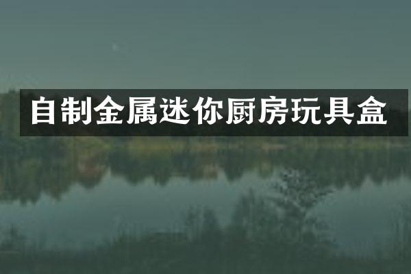 自制金属迷你厨房玩具盒