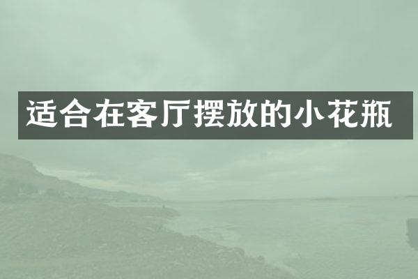 适合在客厅摆放的小花瓶
