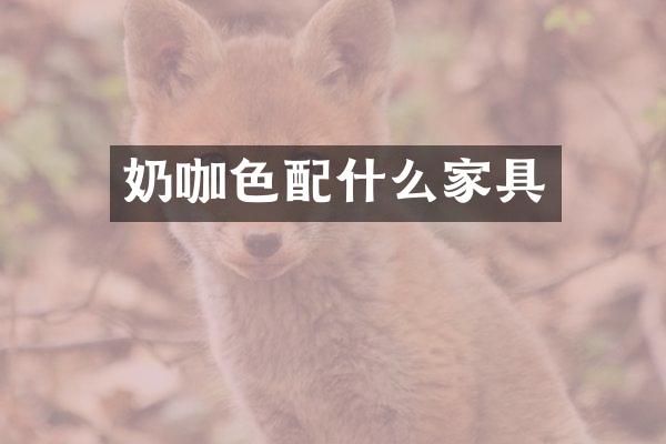 奶咖色家具