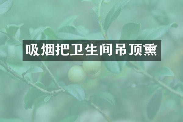 吸烟把卫生间吊顶熏