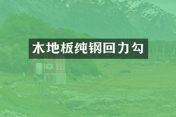 木地板纯钢回力勾
