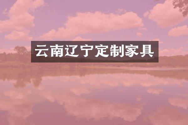 云南辽宁定制家具