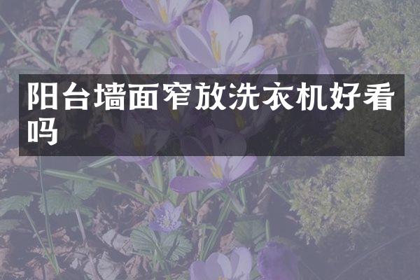 阳台墙面窄放洗衣机好看吗