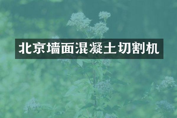 北京墙面混凝土切割机