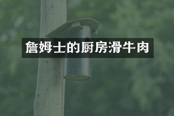 詹姆士的厨房滑牛肉