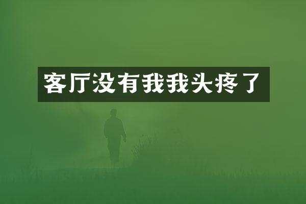 客厅没有我我头疼了