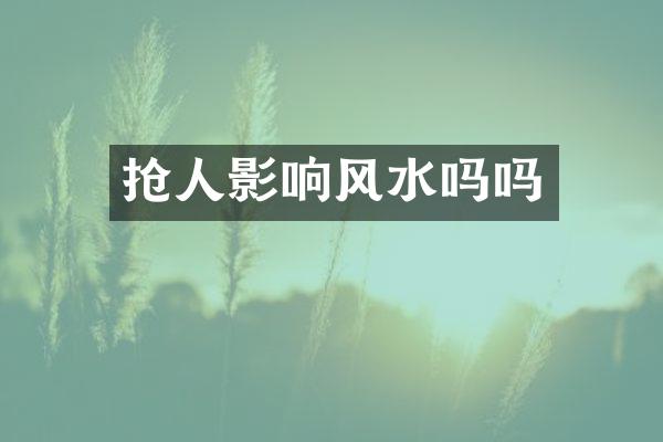 抢人影响风水吗吗