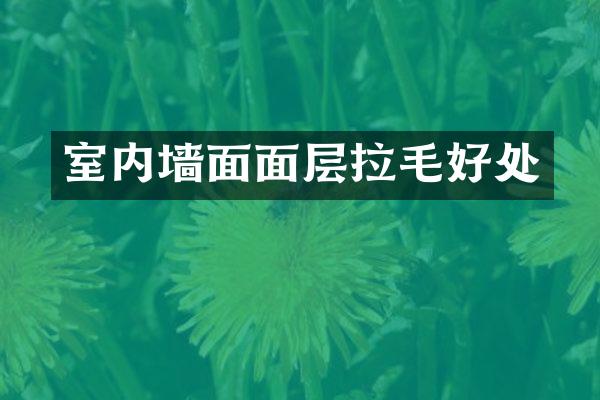 室内墙面面层拉毛好处
