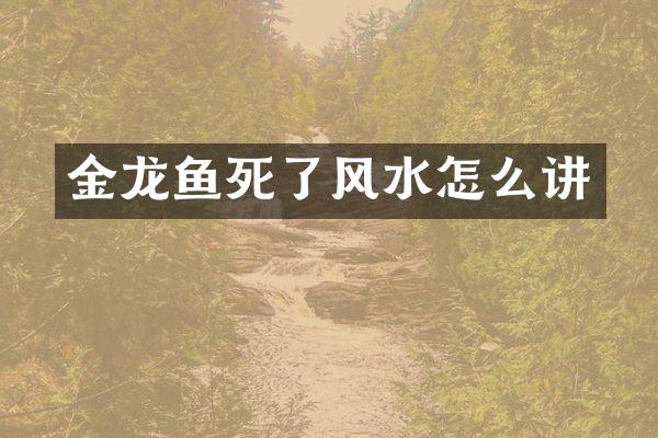 金龙鱼死了风水怎么讲