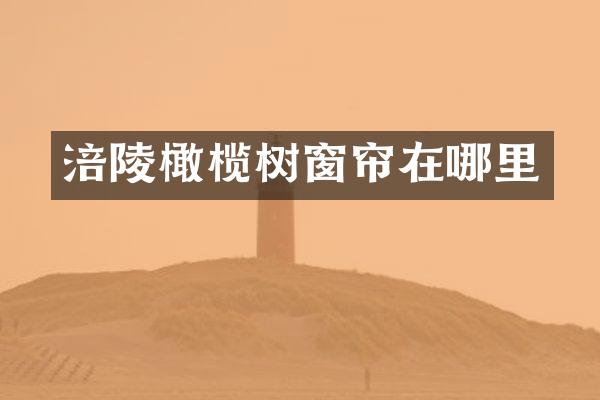 涪陵橄榄树窗帘在哪里