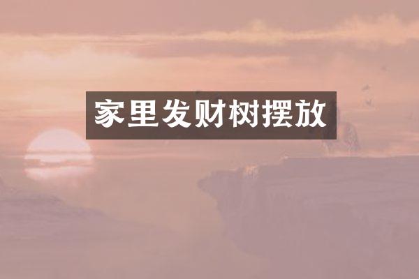 家里发财树摆放