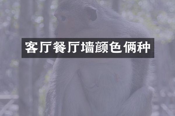 客厅餐厅墙颜色俩种
