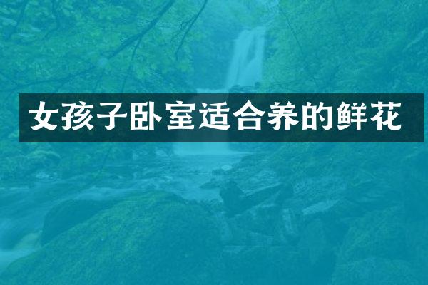 女孩子卧室适合养的鲜花